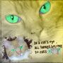 Cats Eyes