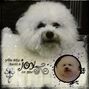 Abby