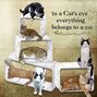 Cat Towers