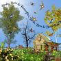 Birds, Bees & Butterflies Challenge