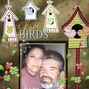 Love Birds Always!!