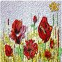 Blooming poppy