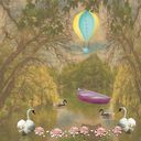 Swans Swans