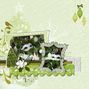 winter greens