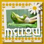 Mellow