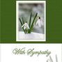 snowdrop sympathy