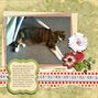 Close to Me