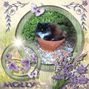 molly in flowerpot