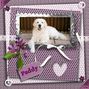 Paddy