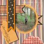 Down in the woods