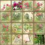 Secret Garden