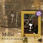 milliecat