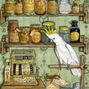 James Card.craft