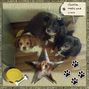 Charlie, Molly and Lucy.craft