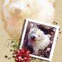 Rosie.craft