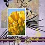 Scrapbook1