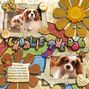 charlie the dog