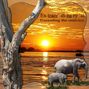 African Sunset