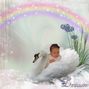 Swan Song
