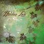Hidden Love