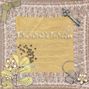 Enchanted princess story