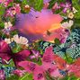 butterfly summer