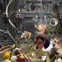 animal kindom