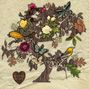 wooden heart (Tree of life)