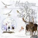 Snow Globe Snow Globe
