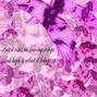 Wings of hope