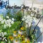 One fine day
