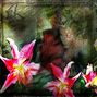 A Garden Long Ago