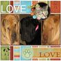 My dogs & Cat