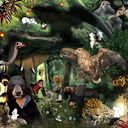 Zoofari!!