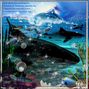 Deep Sea.. FF