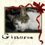 Gisburne