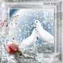 Winter Wishes xxx