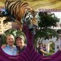 TIGER STADIUM