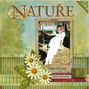 CREATIVE NATURE