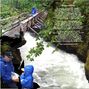 The Bridge Builder