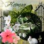 HARMONY