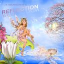 Reflection.craft Reflection.craft