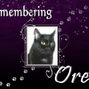 Oreo