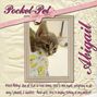 Cats from work - Abigail