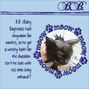 Cats from work - B.B.