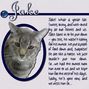 Cats from work - Jake