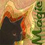 Take a Leaf - Magic