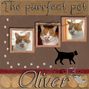 A4 Scrapbook Page - The Purrfect Pet (Oliver)