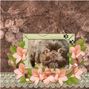 Scrapbook1