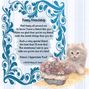 Friendship Scrapbook1